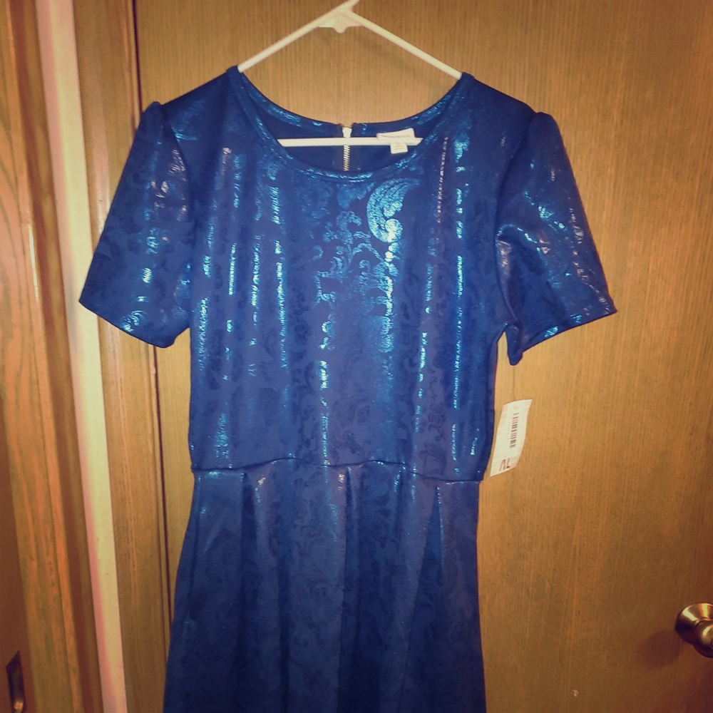 Xl Elegant Amelia Blue New with Tags